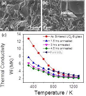 Oxidation and Corrosion Resistant Tolerant Nuclear Fuel Systems