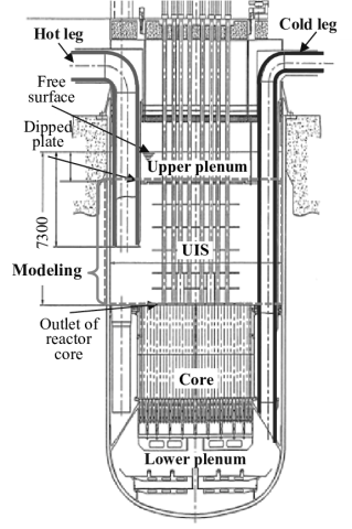 Purification System For a Molten Salt Reactor