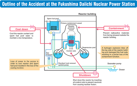 A Case Study of the Fukushima-Daiichi Nuclear Accident